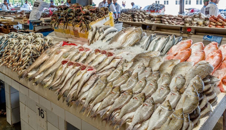 أسعار السمك اليوم