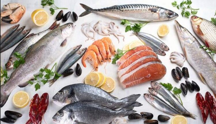 أسعار السمك