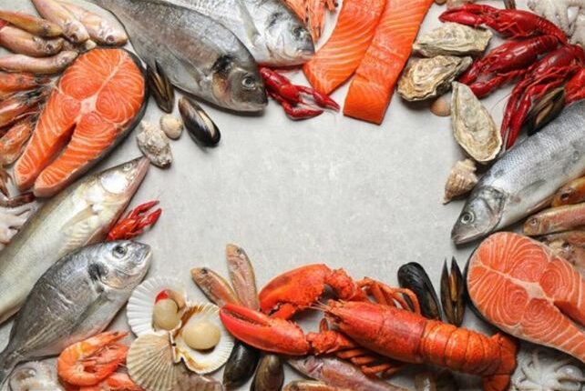 أسعار السمك اليوم