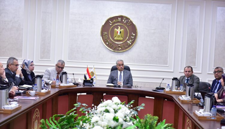 حسن شحاتة وزير العمل