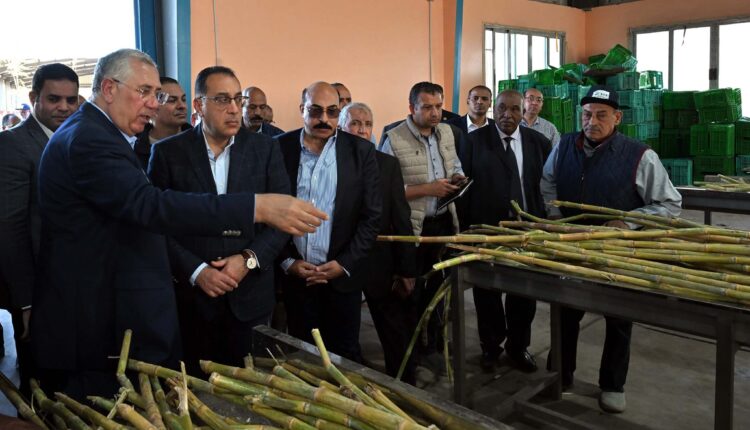 رئيس الوزراء يتفقد محطة شتلات قصب السكر بكوم امبو