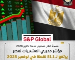 مصر تحقق أقوى نمو للقطاع الخاص منذ 5 سنوات بارتفاع مؤشر المشتريات إلى 51.1