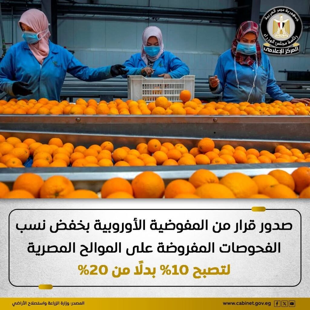 خفض فحوصات الموالح المصرية إلى 10% دعمًا للصادرات