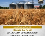 3.2 مليون طن قمح محلي.. طفرة في التوريد تدعم الأمن الغذائي المصري بنسبة 64% من المستهدف