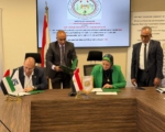 تعاون بين انتلجنت جلوب ووزارة الكهرباء لتنفيذ خط نقل جديد| التفاصيل